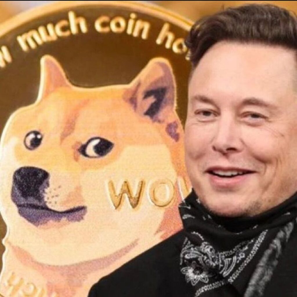 Elon Musk Net Worth 